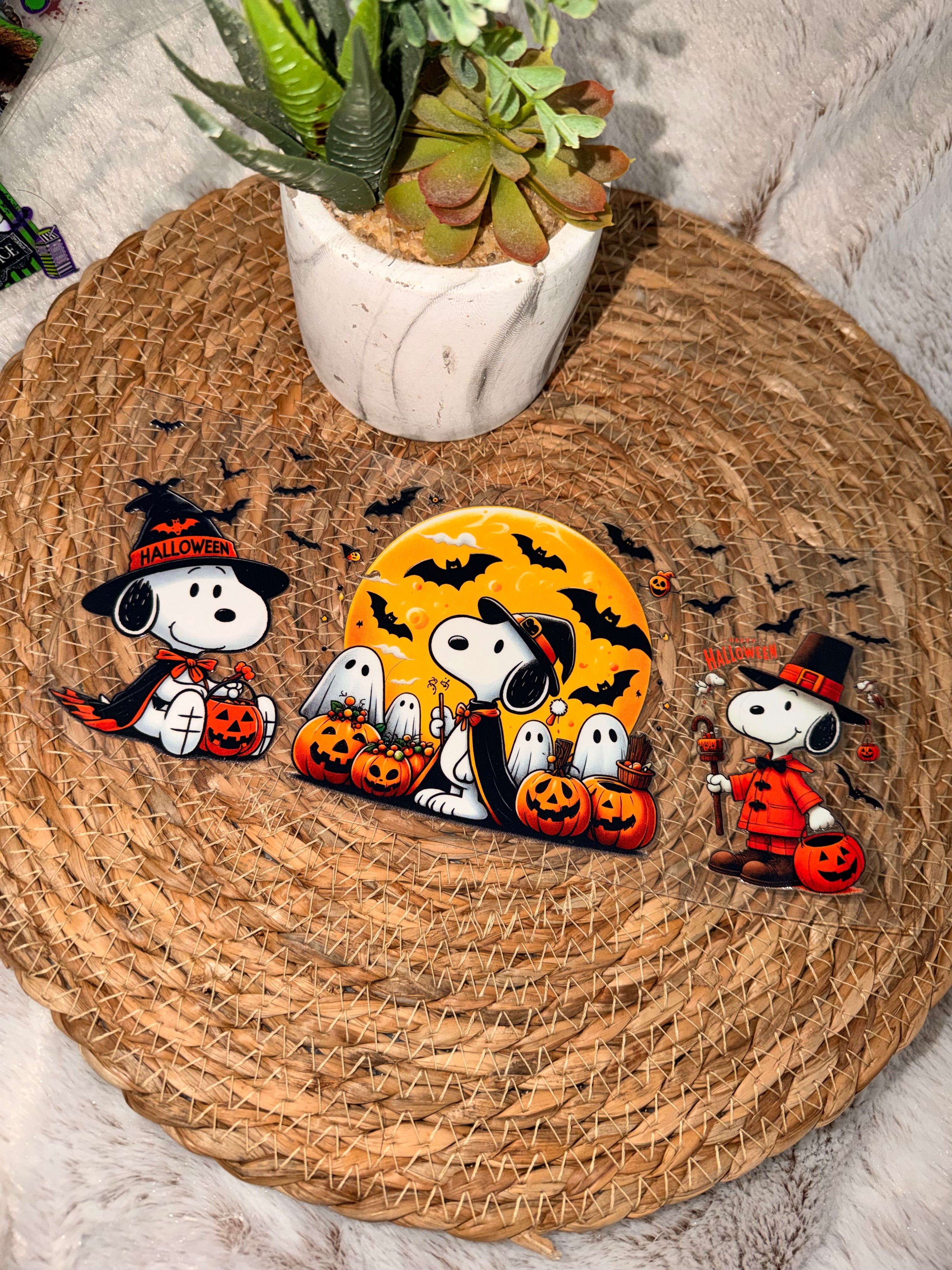 Wraps- Charlie Brown